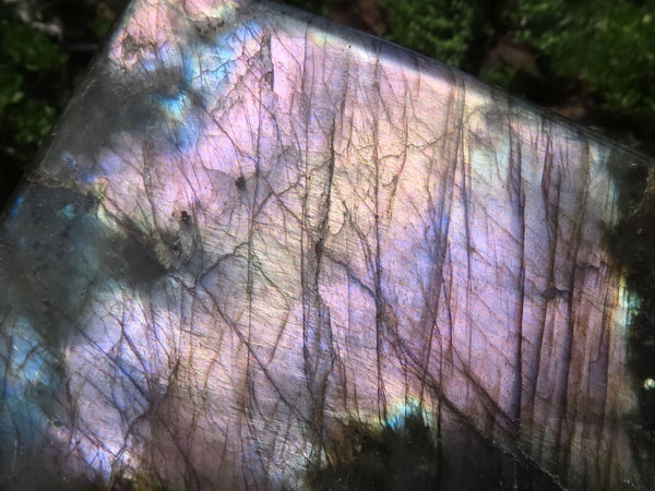 Polished Flashy Labradorite Standing Free Forms  x 2 From Tulear, Madagascar - TopRock