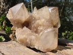 Natural Smokey White Phantom Quartz Clusters  x 6 From Luena, Congo - Toprock Gemstones and Minerals 