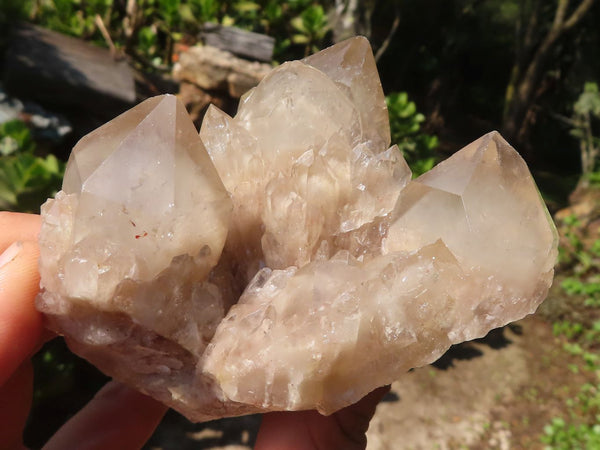 Natural Smokey White Phantom Quartz Clusters  x 6 From Luena, Congo - Toprock Gemstones and Minerals 