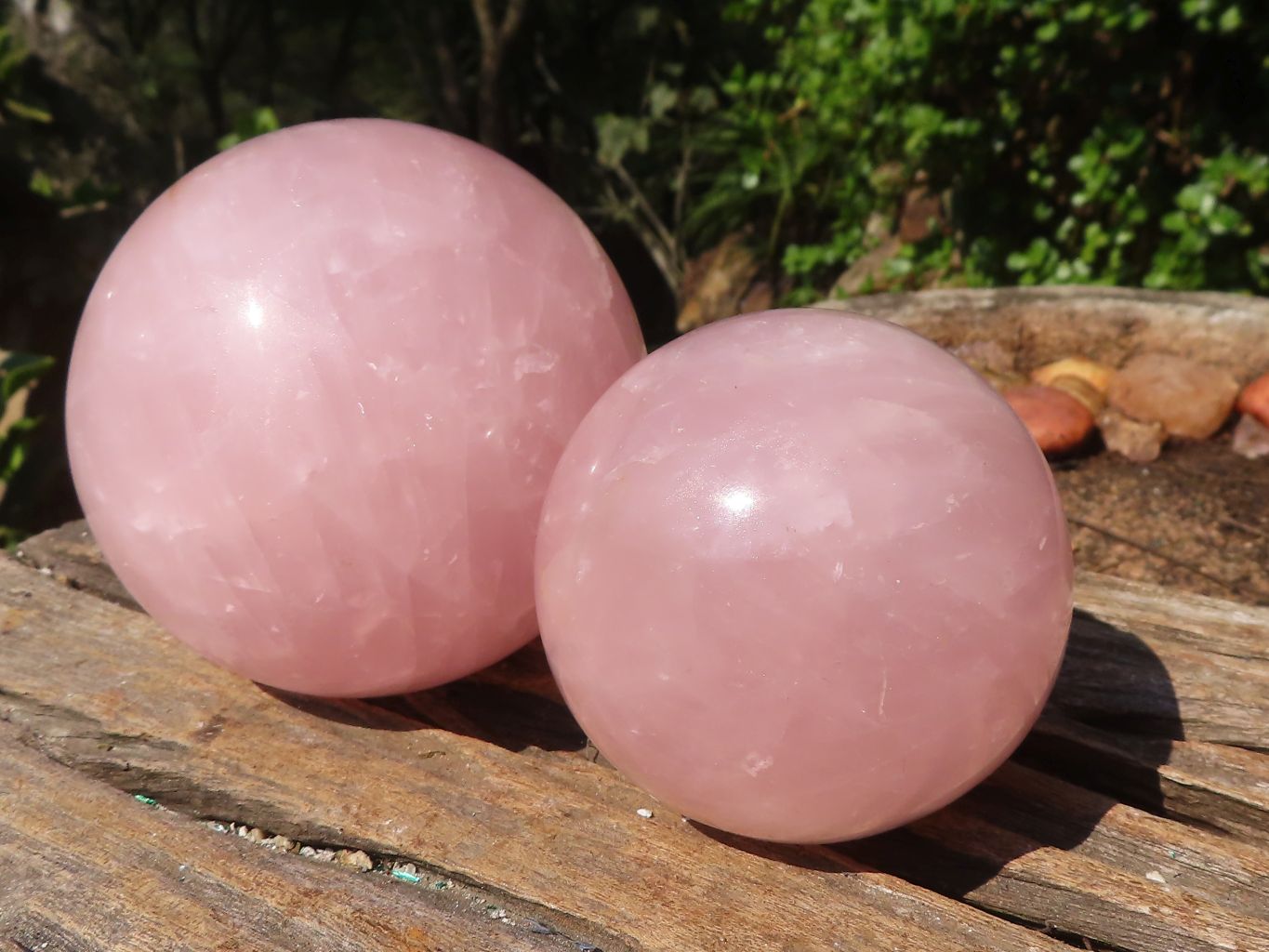 Polished Rare Star Rose Quartz Spheres  x 2 From Madagascar - Toprock Gemstones and Minerals 