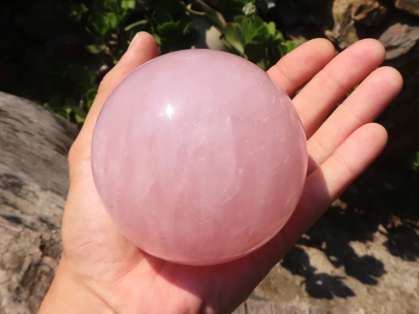 Polished Rare Star Rose Quartz Spheres  x 2 From Madagascar - Toprock Gemstones and Minerals 