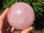 Polished Rare Star Rose Quartz Spheres  x 2 From Madagascar - Toprock Gemstones and Minerals 