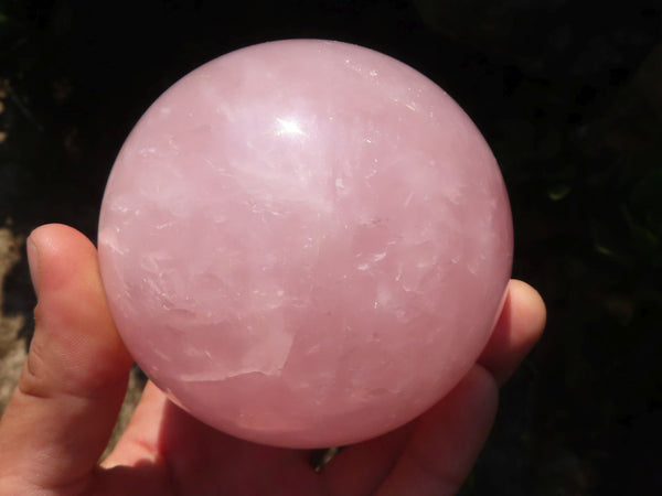 Polished Rare Star Rose Quartz Spheres  x 2 From Madagascar - Toprock Gemstones and Minerals 