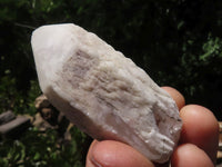 Natural Pineapple Candle Quartz Crystals x 31 From Madagascar - TopRock