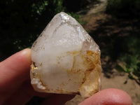 Natural Pineapple Candle Quartz Crystals x 31 From Madagascar - TopRock