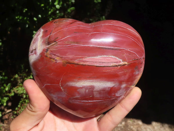 Polished Petrified Red Podocarpus Wood Hearts  x 2 From Madagascar - Toprock Gemstones and Minerals 