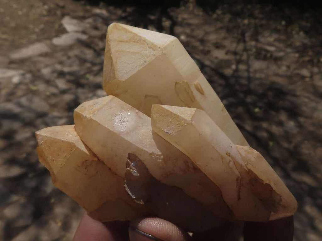 Natural Selected Affordable Quartz Crystals & Clusters  x 11 From Mandrosonoro, Madagascar - TopRock