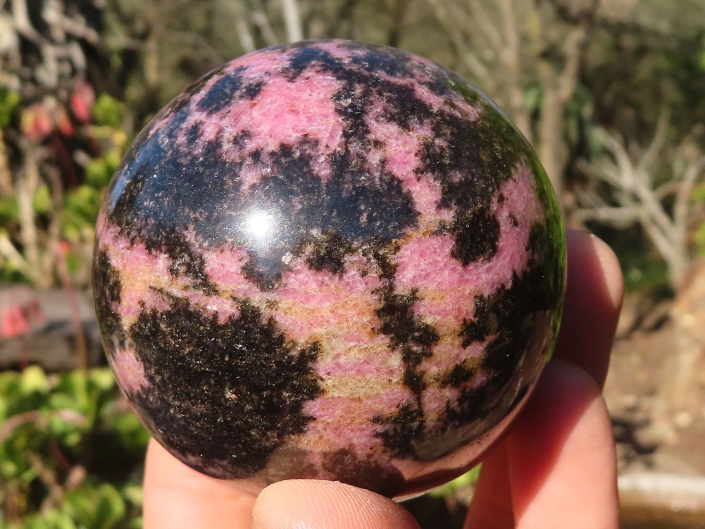 Polished  Pink & Black Rhodonite Spheres x 2 From Madagascar - Toprock Gemstones and Minerals 