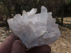 Natural Selected Affordable Quartz Crystals & Clusters  x 11 From Mandrosonoro, Madagascar - TopRock