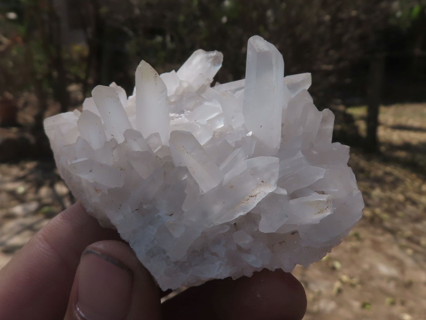 Natural Selected Affordable Quartz Crystals & Clusters  x 11 From Mandrosonoro, Madagascar - TopRock
