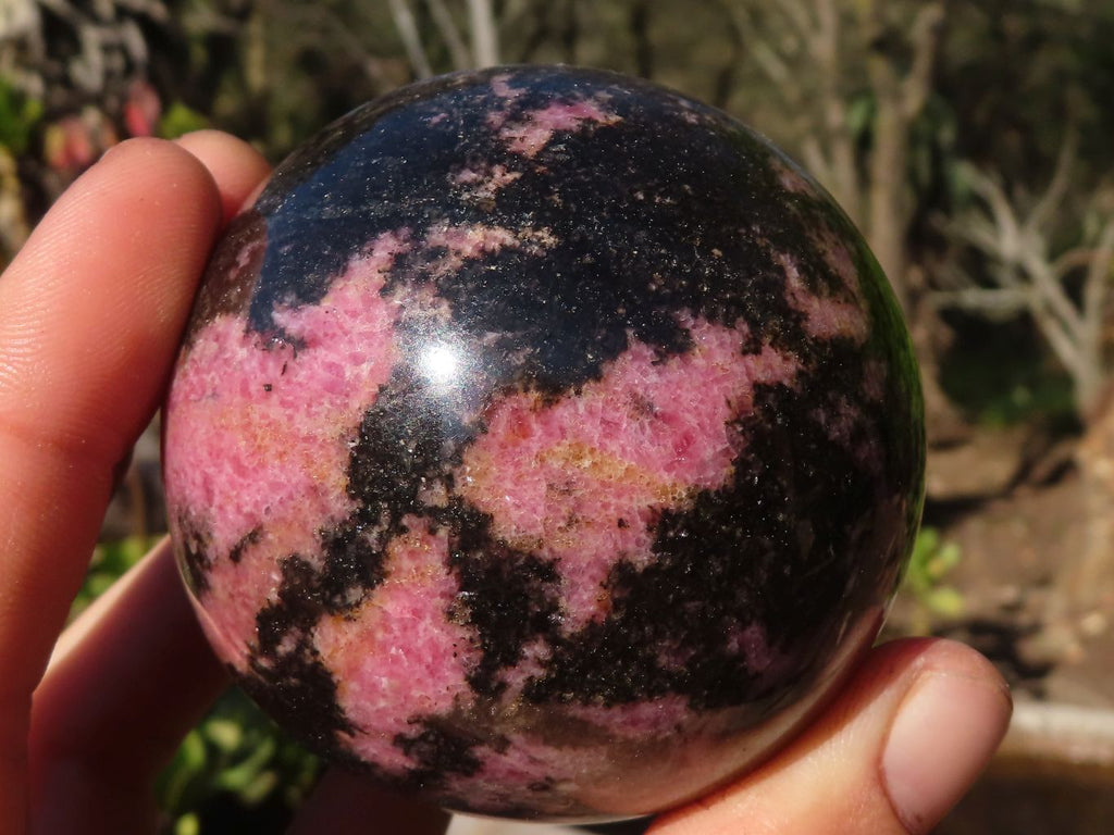 Polished  Pink & Black Rhodonite Spheres x 2 From Madagascar - Toprock Gemstones and Minerals 