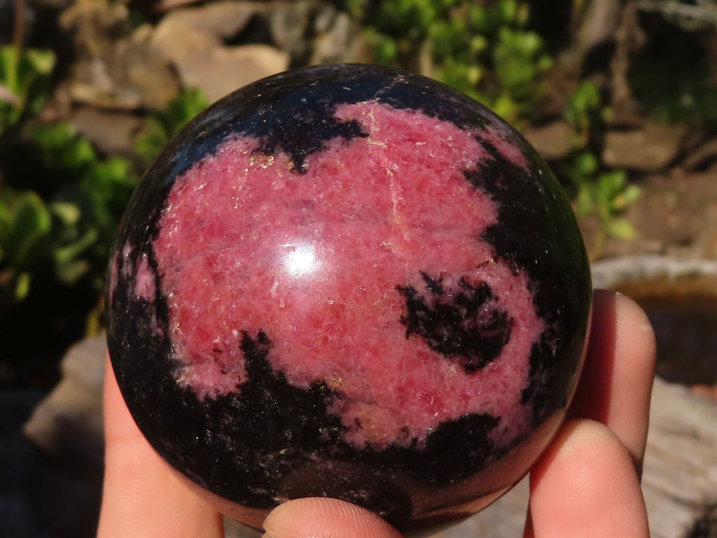 Polished  Pink & Black Rhodonite Spheres x 2 From Madagascar - Toprock Gemstones and Minerals 