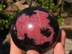 Polished  Pink & Black Rhodonite Spheres x 2 From Madagascar - Toprock Gemstones and Minerals 