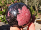 Polished  Pink & Black Rhodonite Spheres x 2 From Madagascar - Toprock Gemstones and Minerals 