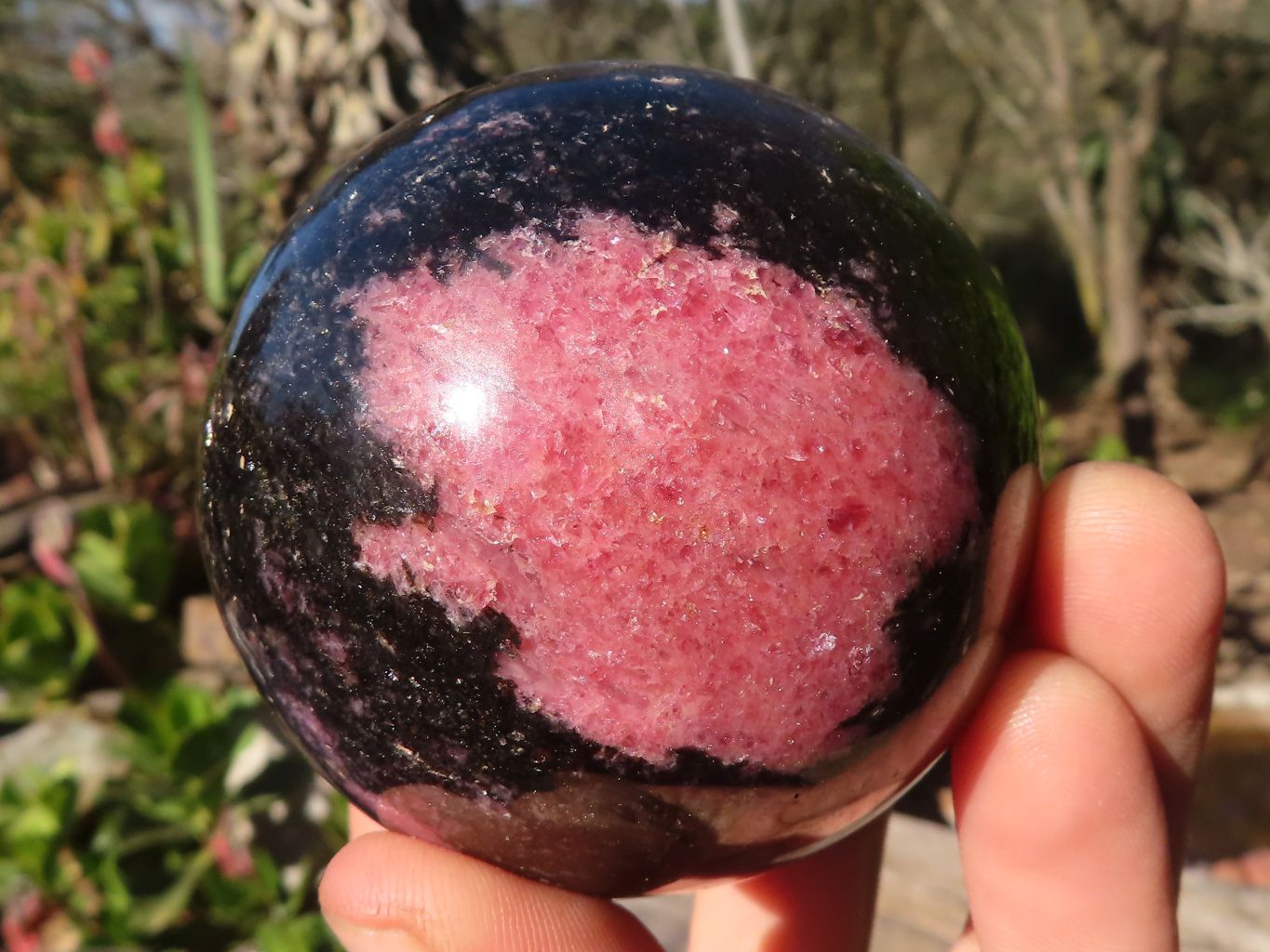 Polished  Pink & Black Rhodonite Spheres x 2 From Madagascar - Toprock Gemstones and Minerals 