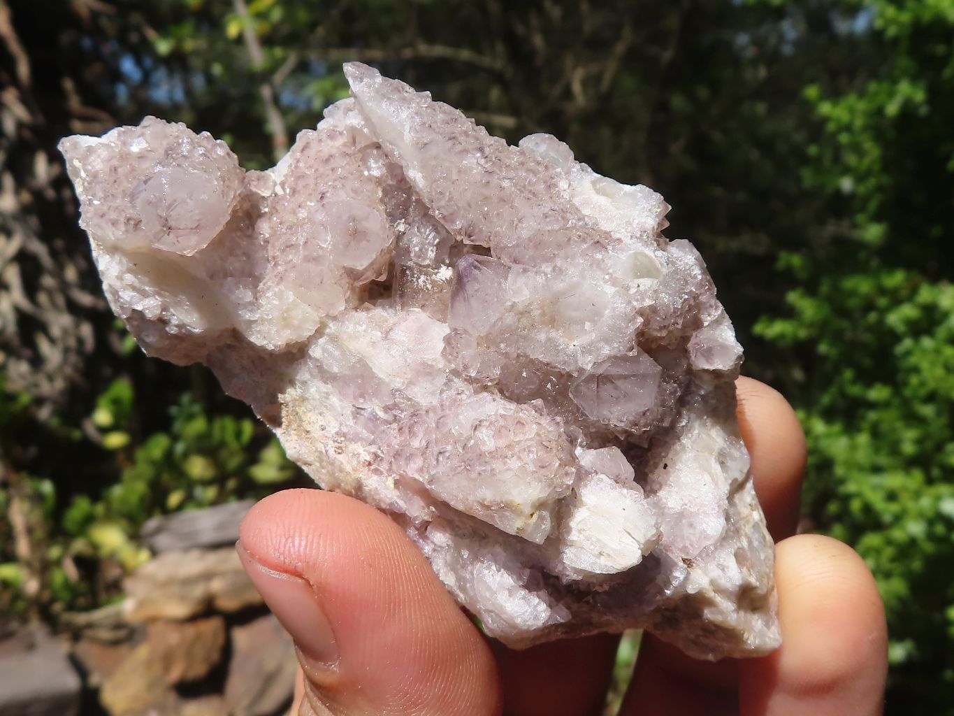 Natural Small Mixed Spirit Quartz Clusters  x 24 From Boekenhouthoek, South Africa - Toprock Gemstones and Minerals 