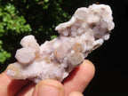 Natural Small Mixed Spirit Quartz Clusters  x 24 From Boekenhouthoek, South Africa - Toprock Gemstones and Minerals 
