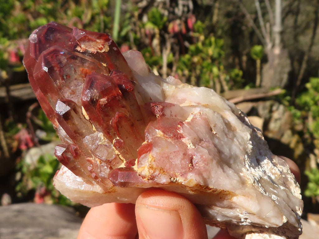 Natural Red Hematoid Phantom Quartz Specimens x 6 From Karoi, Zimbabwe - Toprock Gemstones and Minerals 