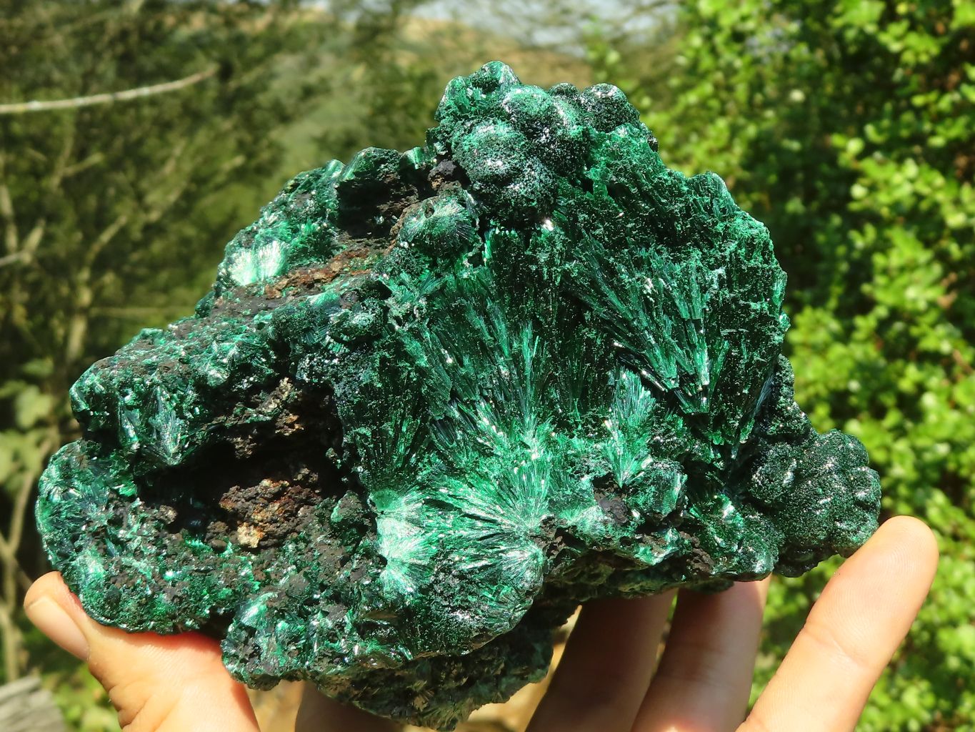 Natural Chatoyant Silky Malachite Specimen  x 1 From Congo - Toprock Gemstones and Minerals 