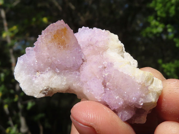 Natural Small Mixed Spirit Quartz Clusters  x 24 From Boekenhouthoek, South Africa - Toprock Gemstones and Minerals 