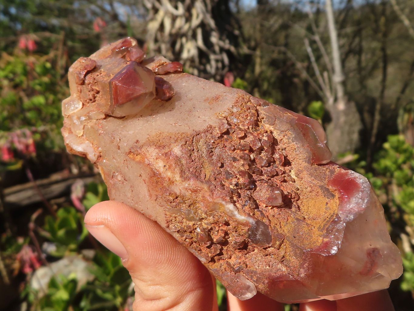 Natural Red Hematoid Phantom Quartz Specimens x 6 From Karoi, Zimbabwe - Toprock Gemstones and Minerals 