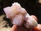 Natural Small Mixed Spirit Quartz Clusters  x 24 From Boekenhouthoek, South Africa - Toprock Gemstones and Minerals 