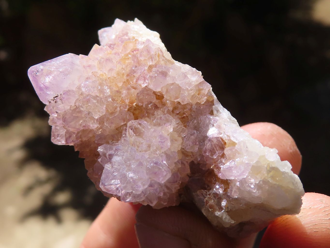 Natural Small Mixed Spirit Quartz Clusters  x 24 From Boekenhouthoek, South Africa - Toprock Gemstones and Minerals 