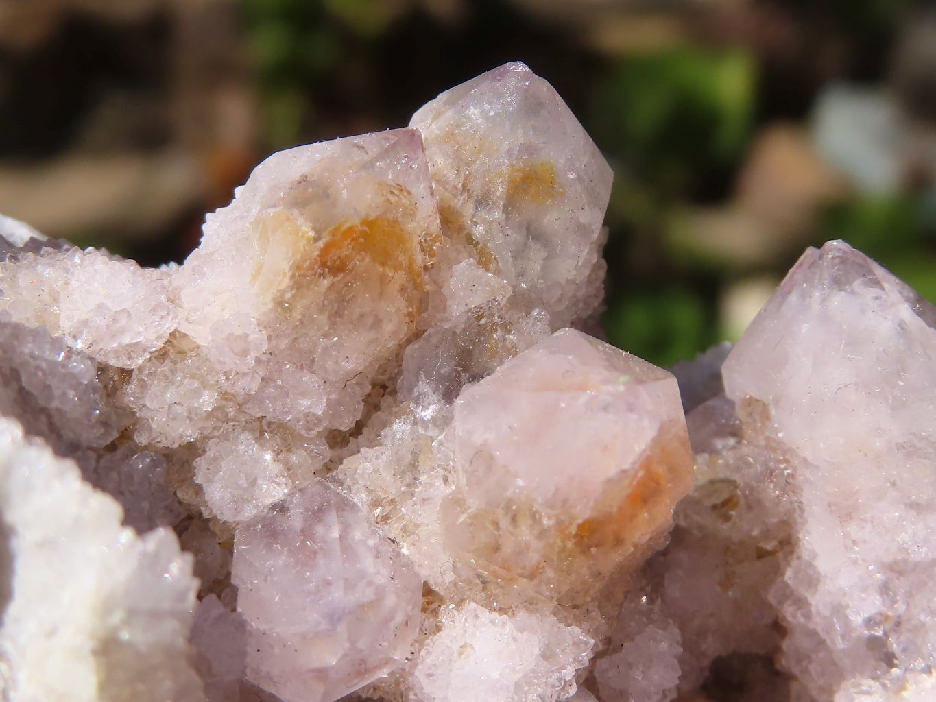 Natural Small Mixed Spirit Quartz Clusters  x 24 From Boekenhouthoek, South Africa - Toprock Gemstones and Minerals 