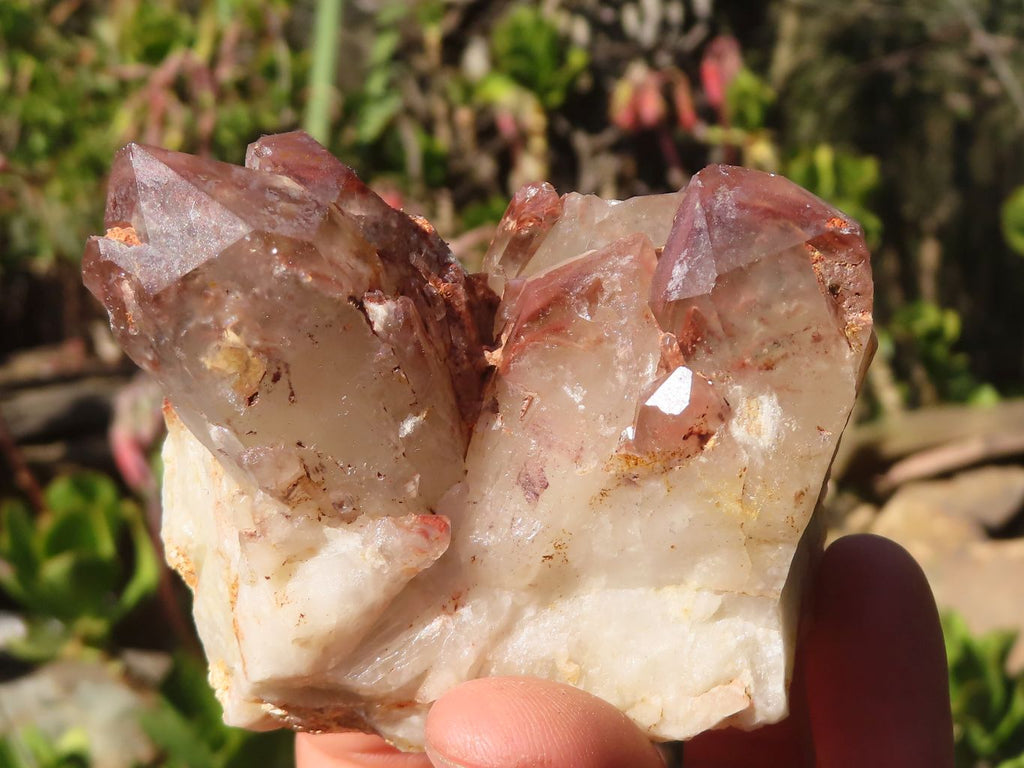 Natural Red Hematoid Phantom Quartz Specimens x 6 From Karoi, Zimbabwe - Toprock Gemstones and Minerals 