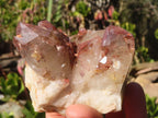 Natural Red Hematoid Phantom Quartz Specimens x 6 From Karoi, Zimbabwe - Toprock Gemstones and Minerals 