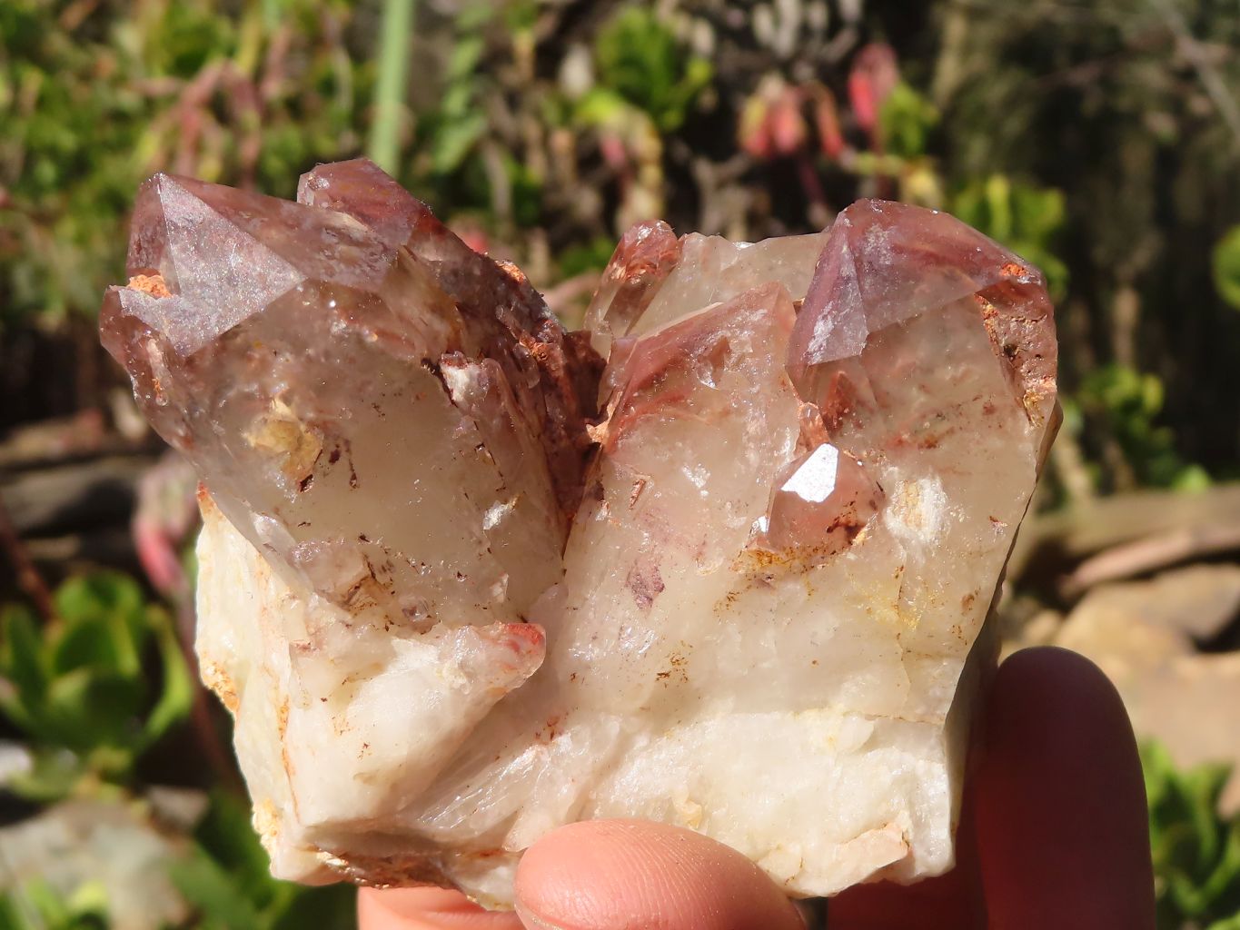 Natural Red Hematoid Phantom Quartz Specimens x 6 From Karoi, Zimbabwe - Toprock Gemstones and Minerals 