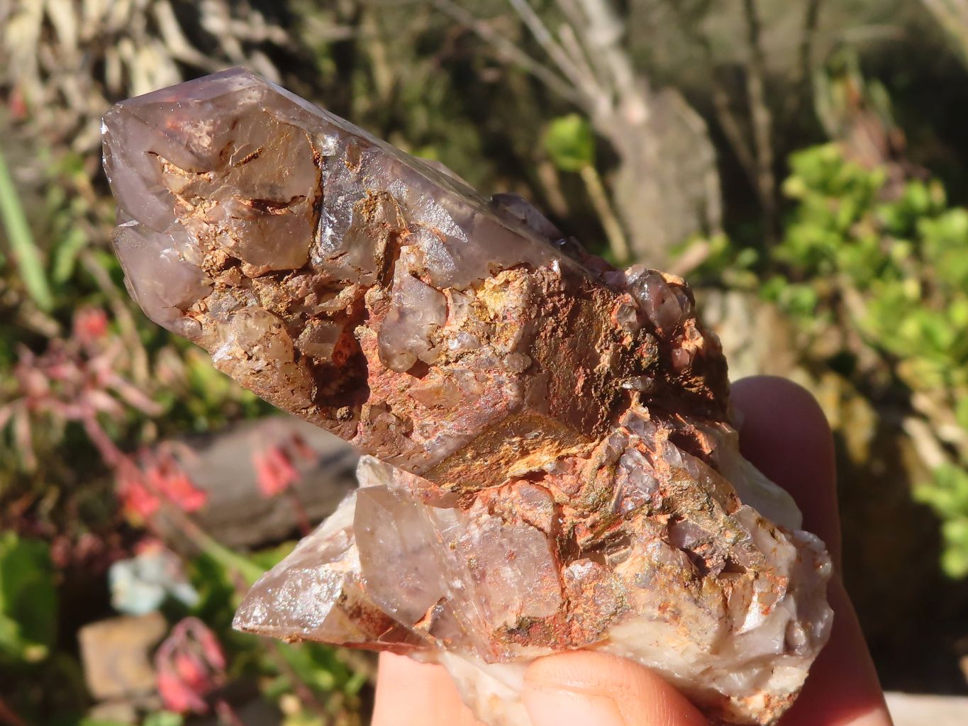 Natural Red Hematoid Phantom Quartz Specimens x 6 From Karoi, Zimbabwe - Toprock Gemstones and Minerals 