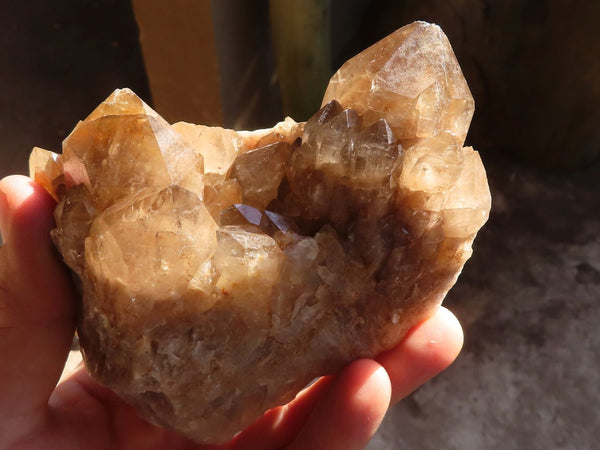 Natural Smokey Phantom Quartz Clusters x 2 From Luena, Congo