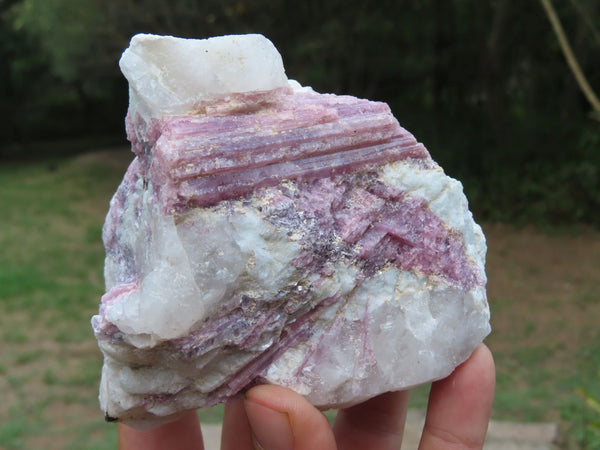 Natural Pink Tourmaline Crystals In Mica & Quartz Schist x 4 From Karibib, Namibia - TopRock