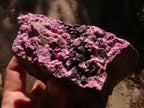 Natural Pink Salrose Cobaltion Dolomite Specimens  x 4 From Kakanda, Congo - Toprock Gemstones and Minerals 