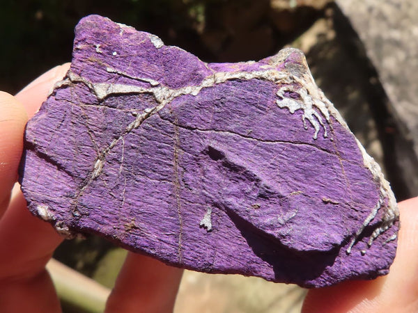 Natural Selected Rough Purpurite Specimens  x 22 From Namibia - TopRock