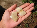 Natural Small Mixed Spirit Quartz Clusters  x 35 From Boekenhouthoek, South Africa - Toprock Gemstones and Minerals 