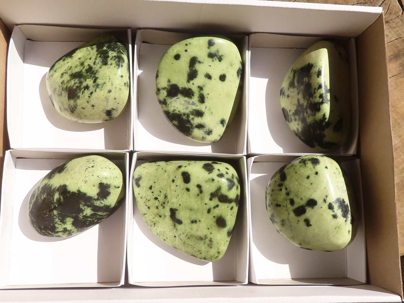 Polished Green Leopard Stone Free Forms  x 6 From Congo - Toprock Gemstones and Minerals 