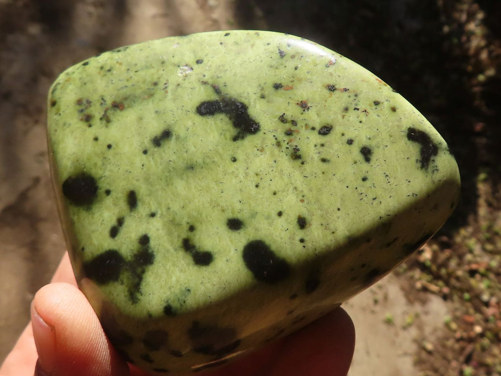Polished Green Leopard Stone Free Forms  x 6 From Congo - Toprock Gemstones and Minerals 
