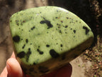 Polished Green Leopard Stone Free Forms  x 6 From Congo - Toprock Gemstones and Minerals 