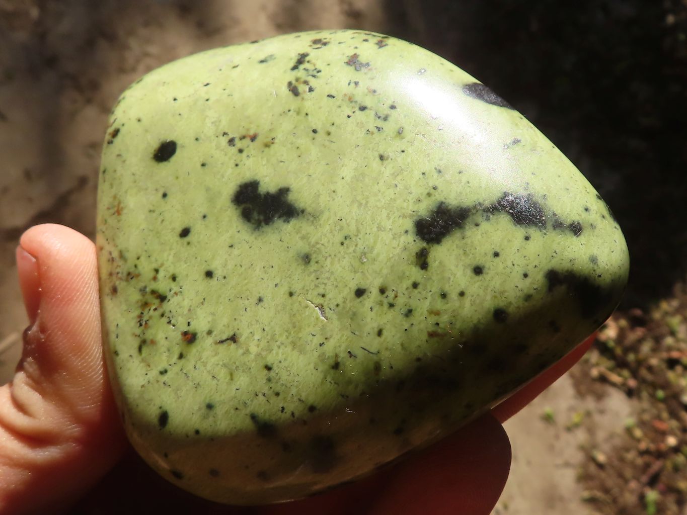 Polished Green Leopard Stone Free Forms  x 6 From Congo - Toprock Gemstones and Minerals 