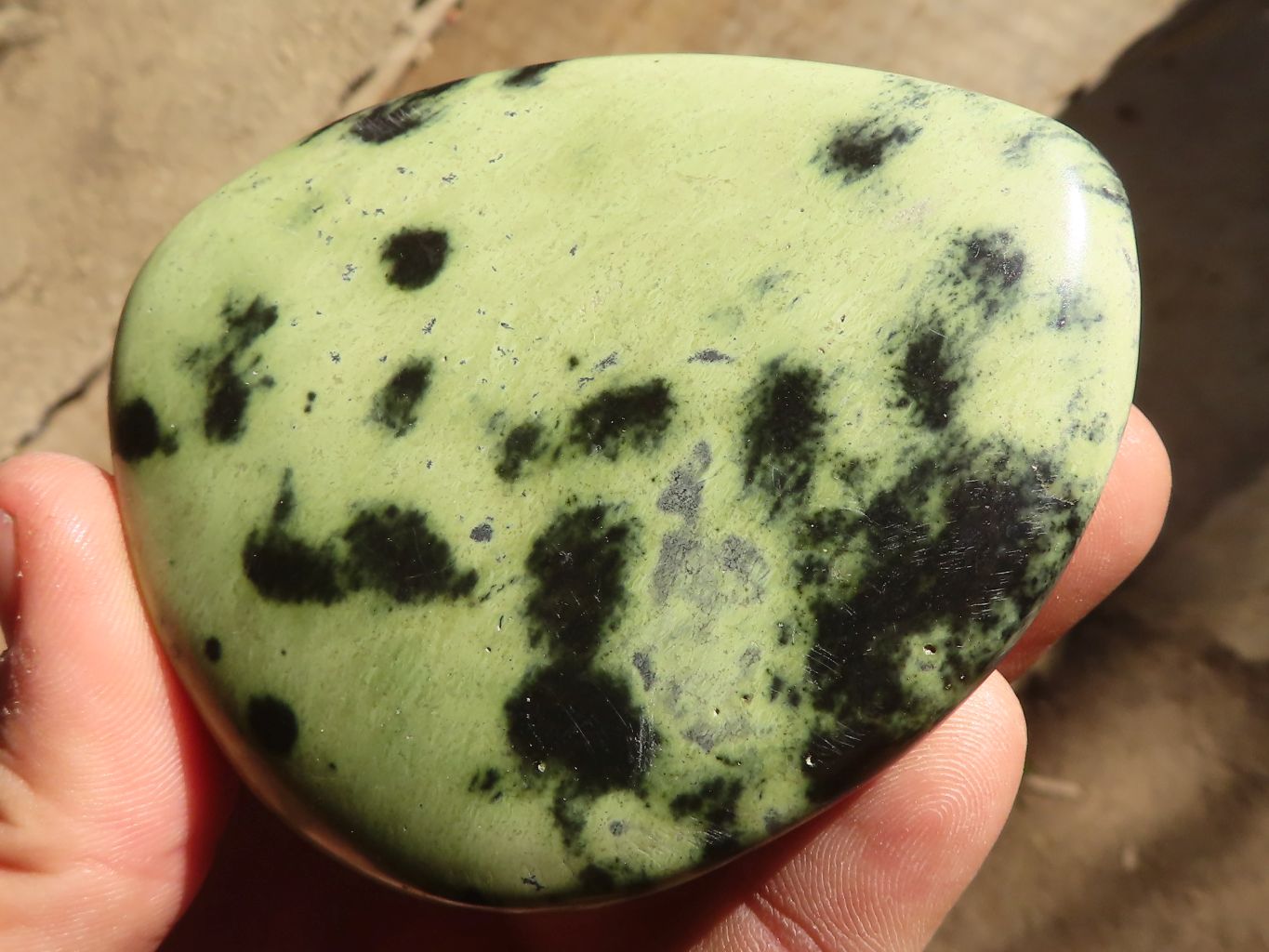 Polished Green Leopard Stone Free Forms  x 6 From Congo - Toprock Gemstones and Minerals 
