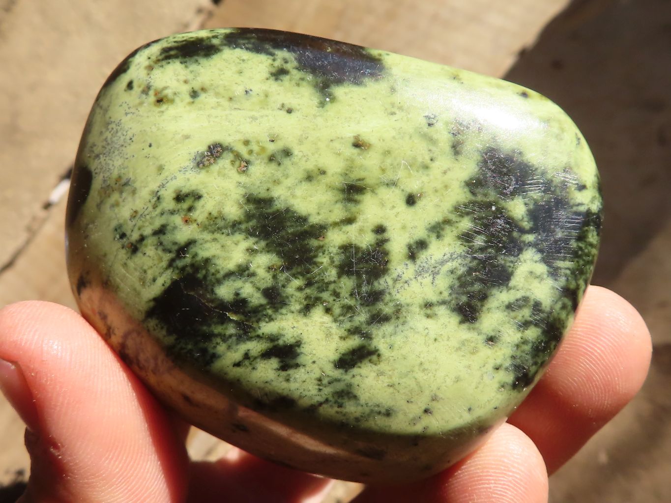 Polished Green Leopard Stone Free Forms  x 6 From Congo - Toprock Gemstones and Minerals 