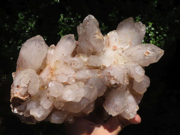 Natural Gorgeous Splayed Quartz Cluster With Large Intact Crystals  x 1 From Karoi, Zimbabwe - TopRock
