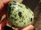 Polished Green Leopard Stone Free Forms  x 6 From Congo - Toprock Gemstones and Minerals 