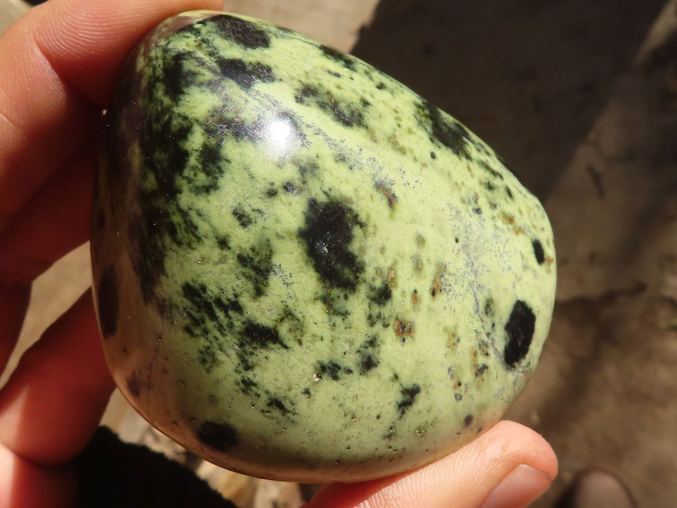Polished Green Leopard Stone Free Forms  x 6 From Congo - Toprock Gemstones and Minerals 