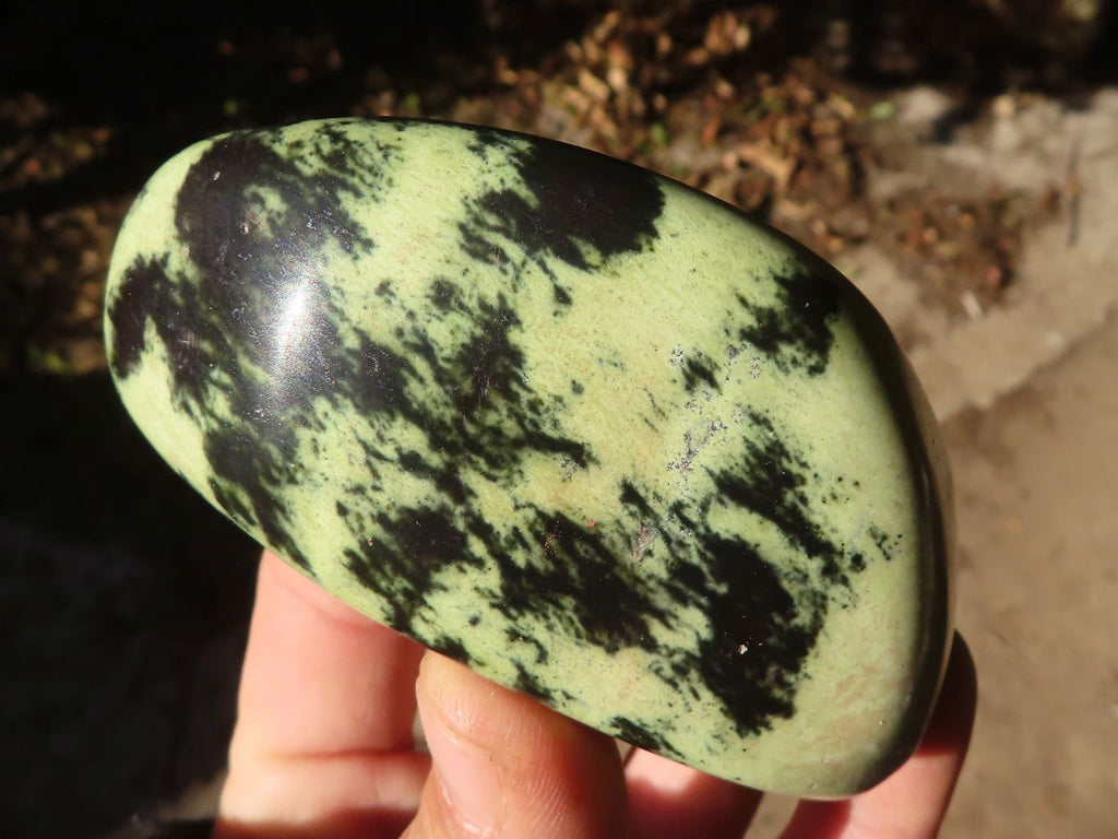 Polished Green Leopard Stone Free Forms  x 6 From Congo - Toprock Gemstones and Minerals 