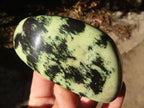 Polished Green Leopard Stone Free Forms  x 6 From Congo - Toprock Gemstones and Minerals 
