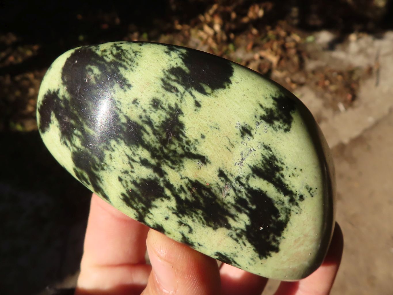 Polished Green Leopard Stone Free Forms  x 6 From Congo - Toprock Gemstones and Minerals 