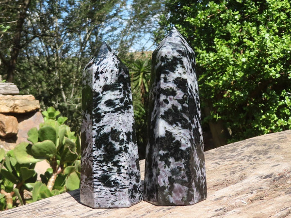 Polished Large Merlinite Gabbro Points  x 2 From Madagascar - Toprock Gemstones and Minerals 